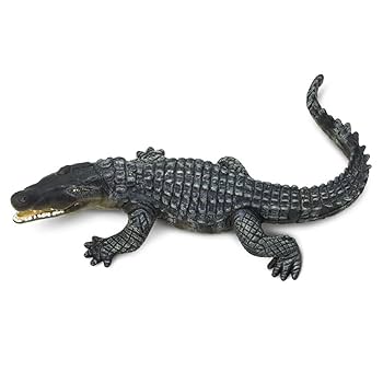 小物 WILDSWANS CROCODILE / GENERAL(SD) BLACK 選べるノベルティ付】 ワイルドスワンズ クロコダイル ステラ